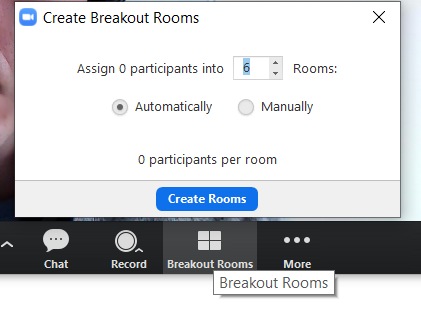 Zoom breakout rooms