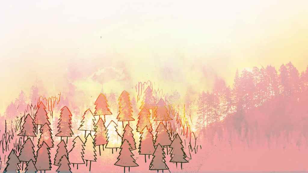 Controlled burns as a way to control systems