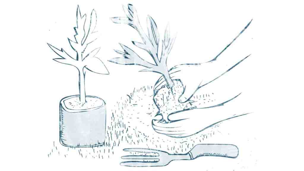 Gardening as leadership style