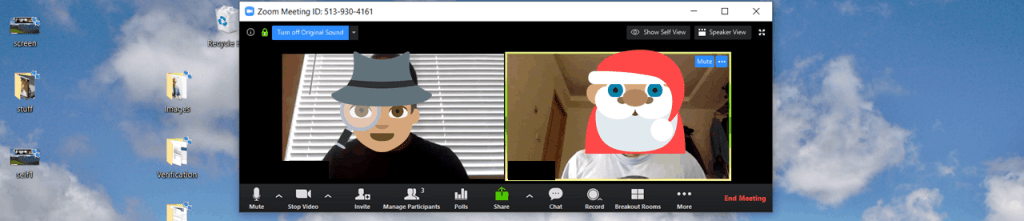 Zoom without self-view