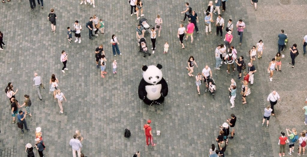 Panda illustration about following passion